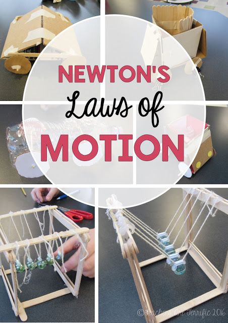 STEM Challenges all about Newton's Laws of motion! Students design and build devices to prove a law of motion! Three fun challenges! Newton's Laws Of Motion, Newton's Laws, Newtons Laws Of Motion, Physics Projects, Laws Of Motion, Stem Ideas, Newtons Laws, Steam Projects, 8th Grade Science