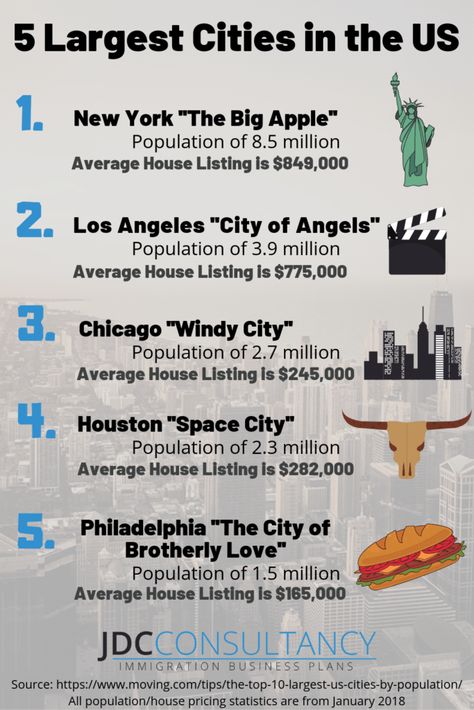 There are several important factors to consider when it comes to moving to the #UnitedStates and beginning your new journey. We have created a Facts about America page full of interesting and fun facts and stats and a useful #infographic on this incredible Country - it provides insight to those that are curious about making their first steps towards the #AmericanDream. Facts About America, Usa Facts, Usa Party, Mothers Day Pictures, French Worksheets, Country Facts, English Love, School Info, Los Angeles City