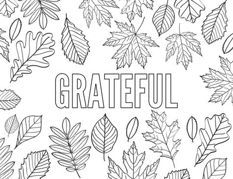 Thanksgiving Coloring Pages Free Printable. Grateful, Thankful, Gratitude, Give Thanks, and Thanksgiving for kids and adults. #papertraildesign #thanksgivingkids #thanksgivingactivity #kidstable #fall #autumn #hellofall Thankful Coloring Pages, Thanksgiving Coloring Sheets, Free Thanksgiving Coloring Pages, Thanksgiving Placemats, Turkey Coloring Pages, Thanksgiving Coloring, Thanksgiving Color, Cartoon Coloring, Printable Thanksgiving