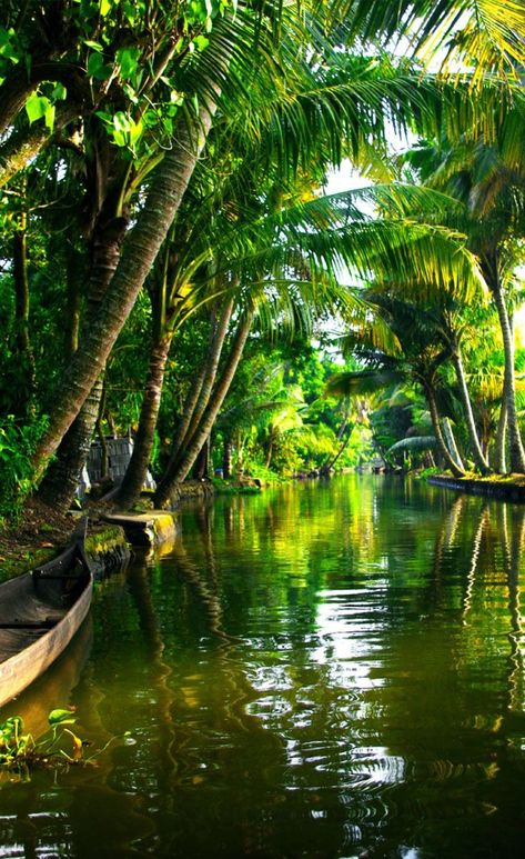 Landscape Photography Beach, Kerala Backwaters, Kerala Travel, Geographical Features, Kovalam, Amazing India, Beautiful Landscape Photography, Kerala Tourism, Arabian Sea