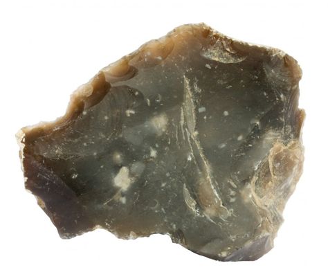 Chert, also known as flint, is a silica-rich sedimentary rock. Chert is very hard and its conchoidal fractures can leave sharp edges which do not dull easi Chert Stone, Flint Rock, Native American Tools, Rock Identification, Rock Tumbling, Rock Hunting, Rocks And Fossils, Rock Types, Geology Rocks