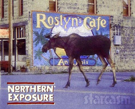 One of the most critically acclaimed and beloved shows in the history of network television is coming back! CBS is reportedly moving ahead with a Northern Exposure revival with original show star James Morrow as well as series co-creators Josh Brand and John Falsey. Northern Exposure Tv Show, Psych Movie, John Corbett, Northern Exposure, Alaska Fashion, Ugly Betty, Me U, Going On Holiday, Comedy Tv