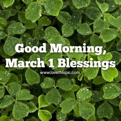 March Pictures, March Images, March Quotes, Good Morning Facebook, Quotes 2023, Happy March, 1 March, Phone Backgrounds Quotes, Funny Good Morning Quotes