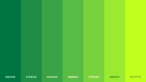 Palitra on Twitter: "Generated palette #colors #palette #gradient #palitra… " Color Palate Green, Green Colour Palate, Color Pallets Green, Green Shades Colour Palettes, Color Green Palette, Green Palette Colour Schemes, Neon Green Gradient, Green Pallets, Neon Green Color Palette