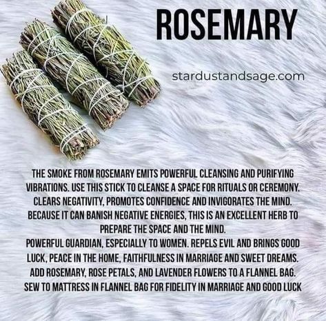 Sage Healing, Smudge Sticks Diy, Native American Education, Inner Child Wounds, Spiritual House, Sage Smudge Sticks, Love Spirituality, Rosemary Sage, Magickal Herbs