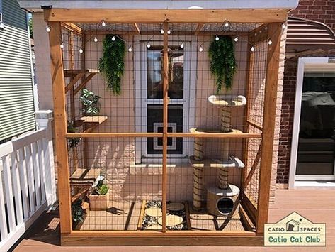 Catio Plans, Diy Cat Enclosure, Katt Grejer, Cat Area, Cat Patio, Outdoor Cat Enclosure, Cat House Diy, Cat Run, Outdoor Cat House