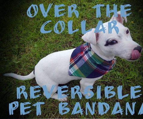 Slip Over The Collar Reversible Pet Bandana Diy Dog Bandana Pattern, Dog Bandanas Pattern Over The Collar, Bandana Pattern Sewing, Diy Dog Bandana, Dog Bandana Diy, Bandanas Diy, Shirt Transformation, Dog Bandana Pattern, Dog Sweater Crochet Pattern