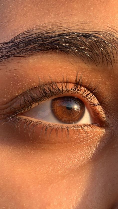 Pretty Eyes Color, Fake Photo Sick, Brown Eyes Aesthetic, Pretty Brown Eyes, Beautiful Eyes Color, Reference Photos For Artists, Beautiful Brown Eyes, Eye Pictures, Photos Of Eyes