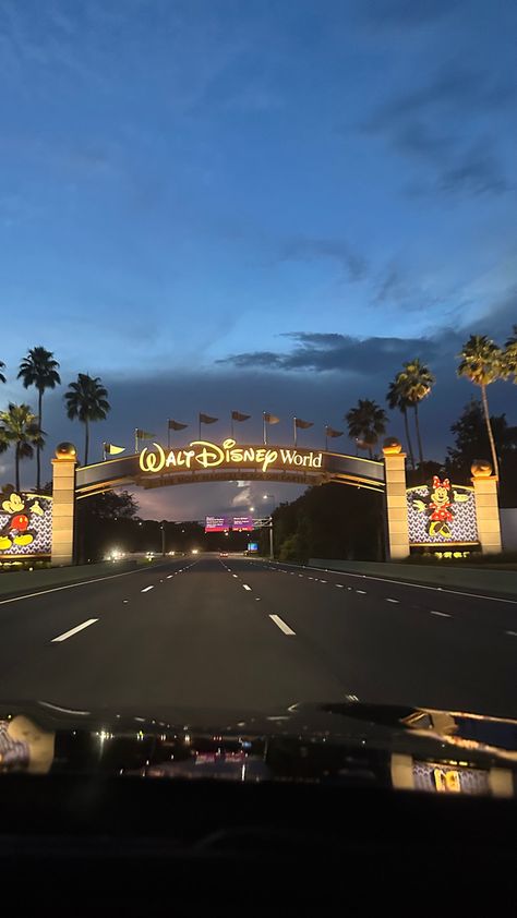 disney world enterance gate Orlando Florida Wallpaper, Orlando Florida Aesthetic Disney, Disneyland Orlando Florida, Disney World Ideas, Orlando Florida Aesthetic, Orlando Living, Aesthetic Disney World, Orlando Aesthetic, Land Aesthetic