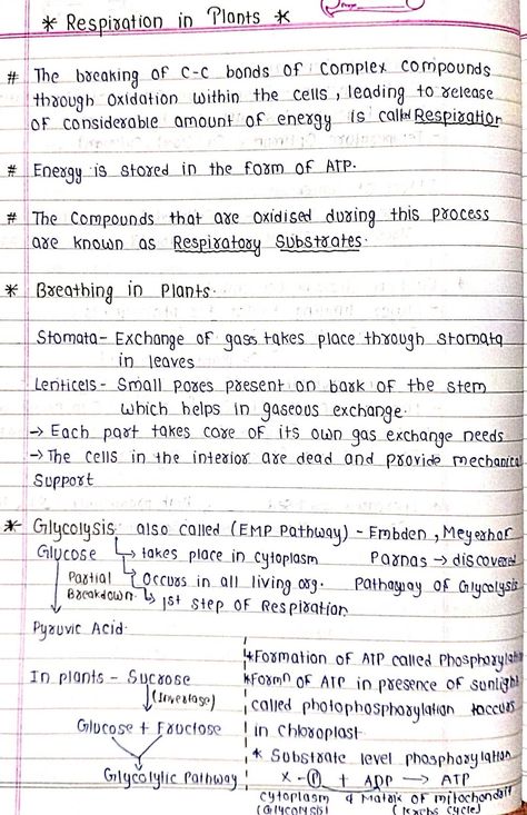 Respiration in Plants - Biology Short Notes 📚 Cell Respiration Notes, Respiration Notes Class 10, Respiration In Plants Notes Class 11, Respiration In Plants Notes, Plant Respiration, Respiration Notes, Respiration In Plants, Biology Flashcards, Anaerobic Respiration