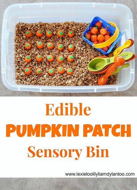 Our Five Ring Circus: Edible Pumpkin Patch Sensory Bin Montessori, Hocus Pocus Sensory Bin, Indoor Pumpkin Patch, Thanksgiving Sensory, Fall Sensory Bin, Toddler Sensory Bins, Halloween Sensory, Pumpkin Activities, Motherhood Lifestyle