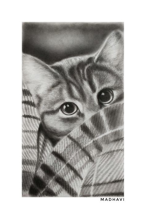 #cat #charcoal sketch Animal Charcoal Sketches, Realistic Pencil Drawings Of Animals, Charcoal Sketches Realistic, Charcoal Sketches Easy, Charcoal Pencil Sketches, Charcoal Pencil Art, Charcoal Sketching, Charcoal Drawing Ideas, Realistic Flower Drawing