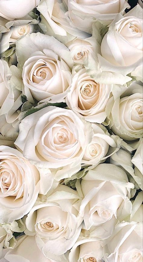 Self Love Art, Beauty Affirmations, Powerful Phrases, Flowers Pretty, Flower Phone Wallpaper, Rose Wallpaper, Beautiful Flowers Pictures, 壁紙 かわいい, Inner Beauty