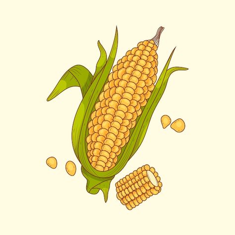 Hand drawn corn on the cob drawing illus... | Free Vector #Freepik #freevector #meal #appetizer #drawing #flavor Corn On The Cob Drawing, Corn Drawing, Corn On The Cob, Corn On Cob, Drawing Inspo, Food Drawing, Vector Hand, Theme Ideas, Bulletin Board