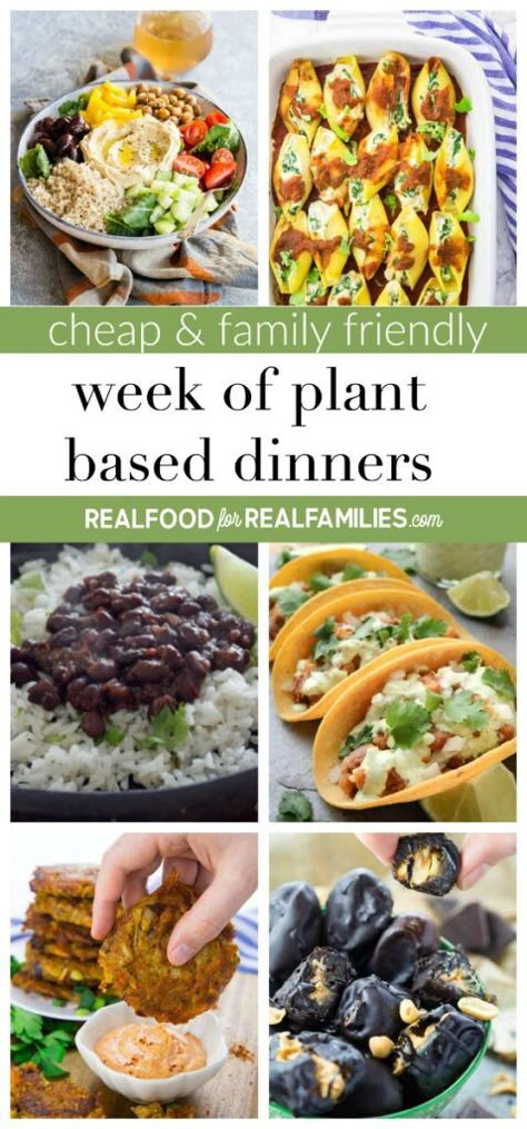 Cheap Vegan Meal Plan, Whole Plant Based Diet, Plant Based Dinners, Cheap Vegetarian Meals, Plant Based Diet Meals, Cheap Vegan Meals, Family Meal Prep, Plant Based Meal Planning, Vegan Meal Plan