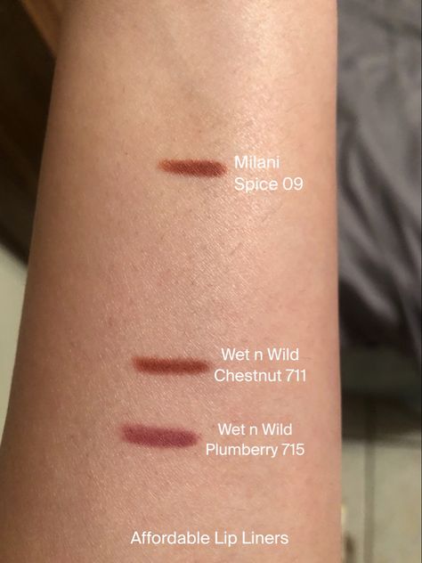 Milani Lip Liner, Wet N Wild Lip Liner, Spice Lip Liner, Swollen Lips, Lipgloss Swatches, Lip Liner Colors, Lip Liners, Wet And Wild, Lipstick Swatches