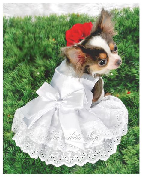 Dog Clothes Pet Dress Blouse Costume ELEGANT WHITE PINK WEDDING DRESS Catholic Wedding Dresses, White Pink Wedding, Dogs Wedding, Doggie Clothes, Dog Wedding Outfits, Dog Wedding Dress, Flower Girl Outfit, Wedding Dress Suit, Pink Wedding Dress