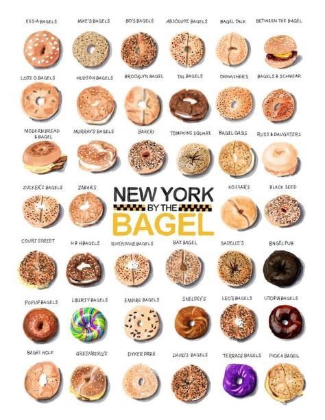 Bagel Poster, Bagel Bakery, Bagel Cafe, Classic Tiramisu, Starting Business, Mother Bear, Bakery Interior, Best Bagels, Cookbook Design