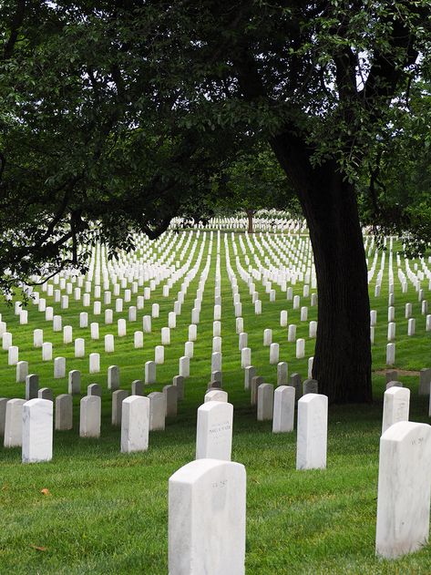 Cemetery Aesthetic, Arlington Cemetary, Dc Bucket List, Good Girl Bad Blood, Love And Gelato, Visit Dc, American Cemetery, Arlington National Cemetery, Old Cemeteries