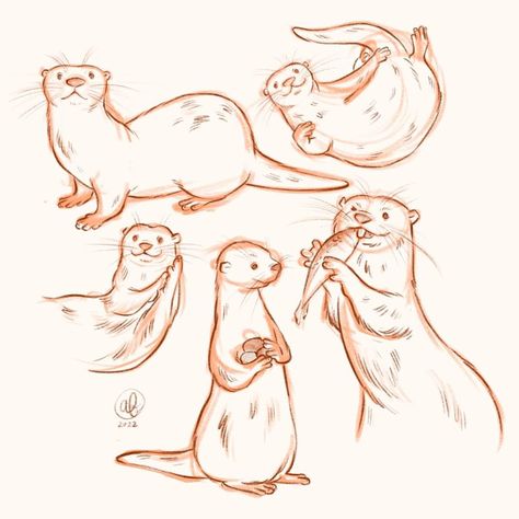 American Traditional Otter Tattoo, Otter Sketch Easy, Otter Swimming Drawing, Sea Otter Drawing Easy, How To Draw Otter, Animals Aesthetic Drawing, Wildlife Doodles, How To Draw An Otter, Otter Drawing Sketches