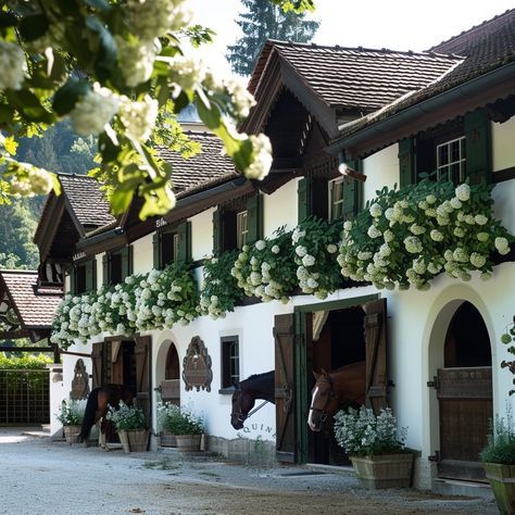 Equestrian Interior, Pine Decor, Luxury Horse Barns, Equestrian Stables, Equestrian Barns, Stud Farm, Dream Horse Barns, Stable Design, Swiss Chalet