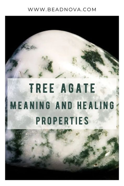 Tree Agate Crystal Meaning, Tree Agate Meaning, Uses Of Trees, Tree Agate Crystal, Earth Vibes, Spiritual Awakening Higher Consciousness, Crystals Energy, Agate Meaning, Spiritual Awakening Quotes