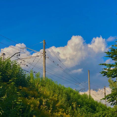 Animals And Birds, Power Lines, The Hill, The Road, Beautiful Flowers, Office Decor, Road, Plants, Flowers