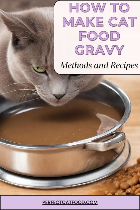 Cat Gravy Recipe, Make Cat Food, Perfect Gravy Recipe, Gravy Homemade, Homemade Cat Treats Recipes, Diy Cat Food, Healthy Cat Food, Homemade Cat Food, Sick Cat