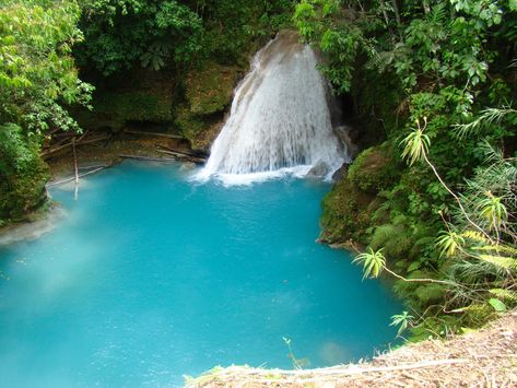 The Blue Hole, Ocho Rios, Jamaica: A Must-See Gem | Sandals Blue Hole Jamaica, Hawaiian Cruises, Jamaica Hotels, Ocho Rios Jamaica, Visit Jamaica, Jamaica Vacation, Blue Hole, Cheap Things To Do, Ocho Rios