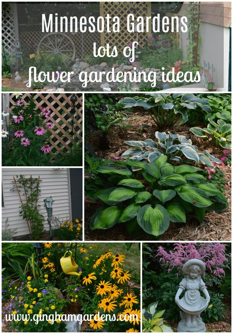 Saying Good-Bye To My First Minnesota Gardens - Gingham Gardens Zone 4 Flower Garden, Zone 4 Gardening Landscaping, Zone 4 Shade Garden, Zone 4 Landscaping Front Yards, Minnesota Flower Garden Ideas, Zone 4 Landscaping Ideas, Zone 4 Perennial Garden Layout, Zone 4 Landscaping, Zone 4 Gardening