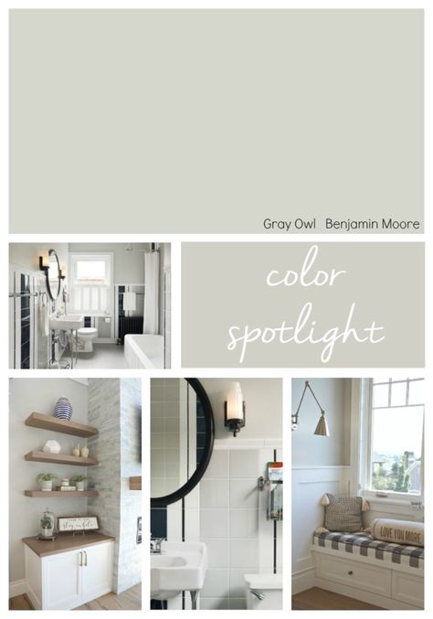 Gray Owl Paint, Benjamin Moore Grey Owl, Color Spotlight, Living Room Colour Schemes, Benjamin Moore Gray, Interior Paint Colors Schemes, Grey Owl, Farmhouse Paint Colors, Paint Colors Benjamin Moore