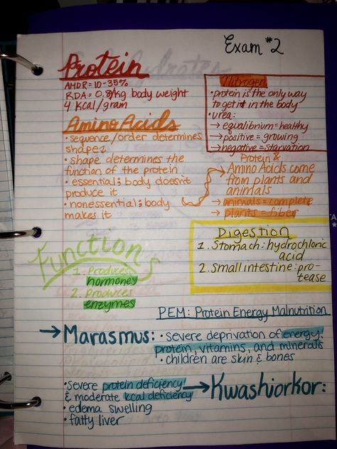 food science human nutrition #college #notes #schoolnotes Human Nutrition Notes, Dietitian Study Notes, Nutrition Notes College, Nutrition Student Notes, Nutrition Study Notes, Nutrition Notes Nursing, Nutritionist Study Notes, Food Tech Revision Notes, Food Tech Gcse Revision Notes