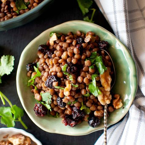 Cranberry Lentil Salad, Lentil And Cranberry Salad, Christmas Stollen Recipe, Salad With Lentils, Green Lentil Salad, Stollen Recipe, Christmas Stollen, Salad With Cranberries, Lentil Salad Recipes