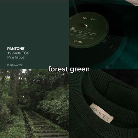 Old money color ✨️🍀 Dark Greencore, Phtalo Green, Spiritual Aesthetic, Aesthetic Collages, Green Academia, Art Textiles, Dark Green Aesthetic, Green Palette, Pretty Colors