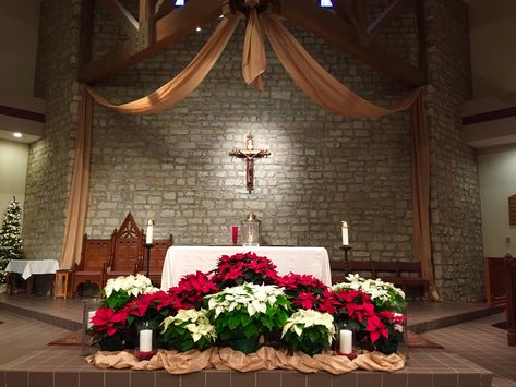 St. Joan of Arc Catholic Church, Powell OH. Christmas decorations, 2014. Advent Church Decorations, Sanctuary Decor, Church Christmas Decorations, Church Altar Decorations, Catholic Altar, Altar Design, Altar Flowers, Christmas Church, Church Flower Arrangements