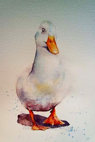 blog – Page 31 – watercolours by rachel Bird Watercolor Paintings, Duck Art, 수채화 그림, Arte Inspo, Arte Animal, Bird Drawings, Watercolor Inspiration, Watercolor Bird, Watercolor Animals