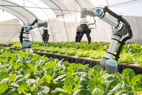 Smart Farm, Precision Agriculture, Sustainable Food Systems, Modern Agriculture, Futuristic Robot, Food Tech, Vertical Farming, Sustainable Agriculture, Sustainable Food