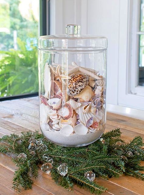 Seashells In Glass Containers, Shells In Jars Display, Seashells In A Jar, Large Seashell Display Ideas, Jar Of Shells, Displaying Shells, Seashell Jar, Collection Display Ideas, Seashell Aesthetic