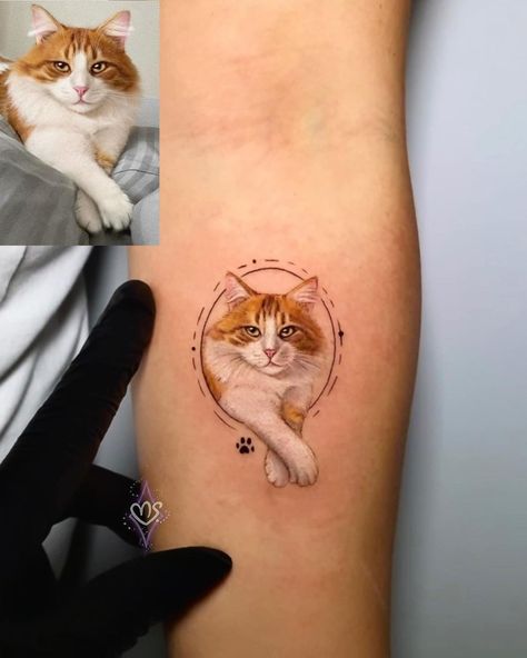 •Hermes 🧡 . . . #cat #tattoo #art #love #cattattoo #kitty #tattooink #tattoodesign #portraittattoo #microrealism #cute #memories… | Instagram Summer Henna, Tattoo Dainty, Cat Face Tattoos, Tattoo Spine, Halo Tattoo, Dainty Tattoo, Tattoo Star, Friends Tattoo, Cat Tattoo Simple