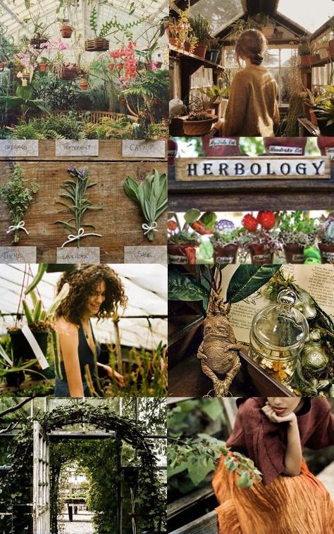 Chamber of Aesthetics. #herbarium #botany #seasons #nature #garden House Patio, Hufflepuff Aesthetic, Harry Potter Wedding, Hogwarts Aesthetic, Harry Potter Pictures, Hogwarts School, Harry Potter Aesthetic, 수채화 그림, Witch Aesthetic