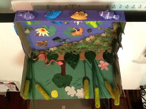 Freshwater ecosystem Biome Project Ideas, Ecosystems Diorama, Biome Project, Biomes Project, Ecosystems Projects, Habitats Projects, Homeschool Projects, Fun Projects For Kids, Science Projects For Kids