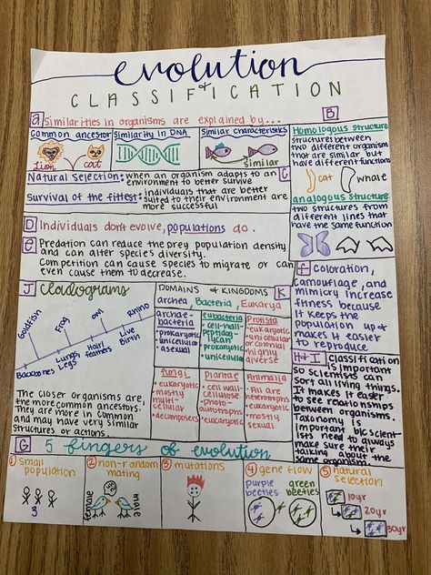 Biology One Pager, Evolution Notes Biology, Biology Chart Ideas, Environmental Science Notes, One Pager Ideas Aesthetic, Evolution Notes, Taxonomy Classification, Cell Notes, Biology Evolution