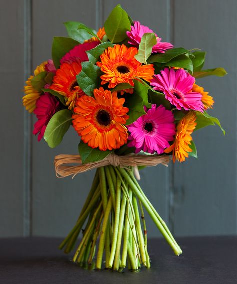 Gerbera Flower Bouquet, Gerbera Bouquet, Luxury Flower Bouquets, Gerbera Flower, Gerbera Daisies, Flower Arrangements Simple, Prom Flowers, Fresh Flowers Arrangements, Bouquet Design