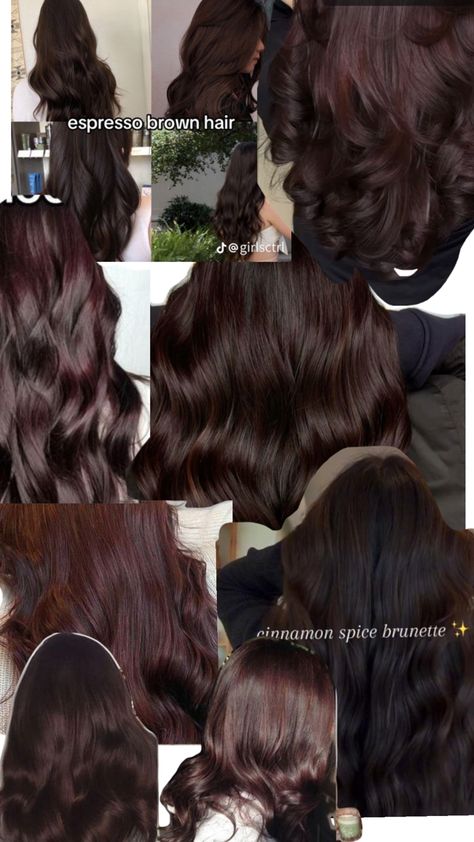 Cherry Brown Hair, Cherry Hair Colors, Curly Hair Care Routine, Brown Hair Looks, Cherry Hair, Brown Hair Inspo, Hair Tint, Hair Color Streaks, Pretty Hair Color