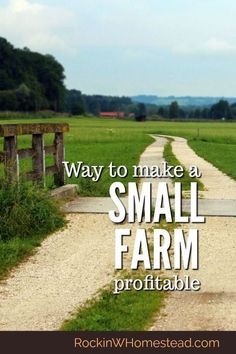 Many people with a pioneering spirit are looking for ways to live on their land and make their small farm profitable. You can make money on your homestead, but you have to be willing to work. | Rockin W Homestead Homestead Family, Cracker House, Starting A Farm, Modern Homesteading, Homestead Ideas, Farm Plans, Homestead Farm, Farm Layout, Farm Business