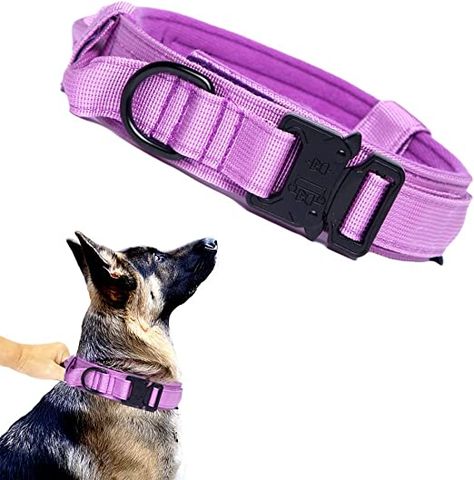 Dog Run Fence, Tactical Dog Collar, Police Equipment, Dog Barrier, Purple Dog Collar, Purple Dog, Wireless Dog Fence, Military Dog, Military Dogs