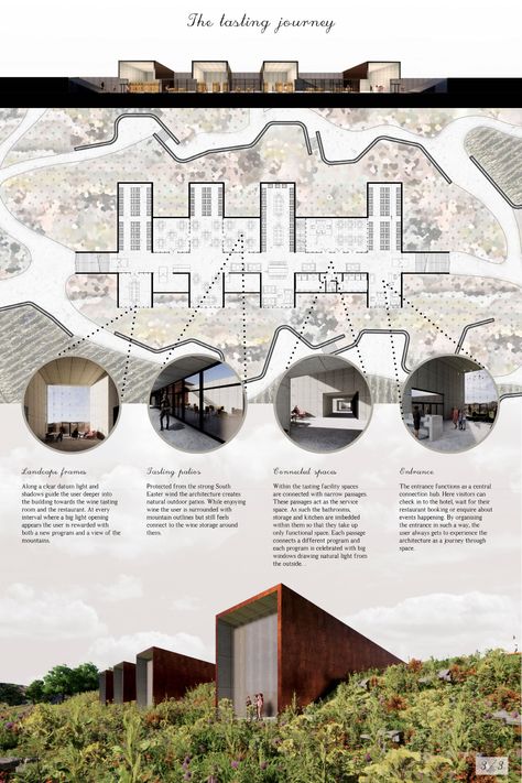 The Fynbos Wine Experience | Concept Architecture Project Croquis, Wine House Architecture, Wine Factory Architecture, Architectural Project Presentation, Winery Architecture Design, Winery Floor Plans, Winery Layout, Architecture Project Presentation, Factory Facade Design