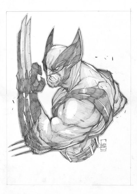 Ludo Lullabi, Wolverine Cartoon, Wolverine Comic Art, Superhero Sketches, Spiderman Comic Art, Comic Art Sketch, Wolverine Comic, Comic Book Drawing, Pencil Sketching