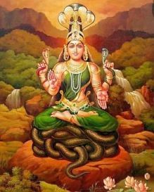 Maa Manasa, Manasa Devi, Kali Images, Maa Lakshmi, Durga Mantra, God Photos, Vaishno Devi, Maa Kali, Radhe Shyam