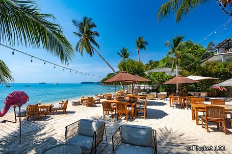 Flamingo Beach Front Cafe is a superb beachside restaurant and bar located on the hidden Ao Yon Beach, southwest of Phuket. Its unique location right on the Beach View Restaurant, Beach Front Restaurant, Phuket Nightlife, Beachside Restaurant, Things To Do At Night, Things To Do In Phuket, Phuket Beach, Live Music Bar, Hotel Landscape